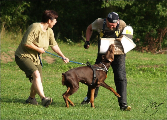 Summer training camp - Jelenec - 2007